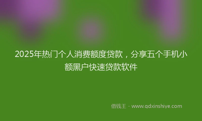 2025年热门个人消费额度贷款，分享五个手机小额黑户快速贷款软件