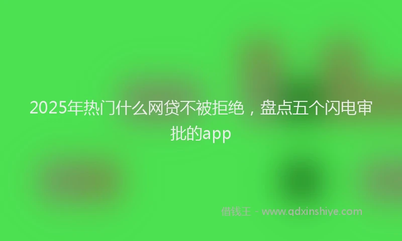 2025年热门什么网贷不被拒绝，盘点五个闪电审批的app