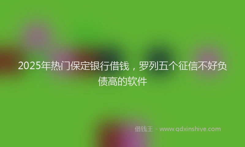 2025年热门保定银行借钱，罗列五个征信不好负债高的软件