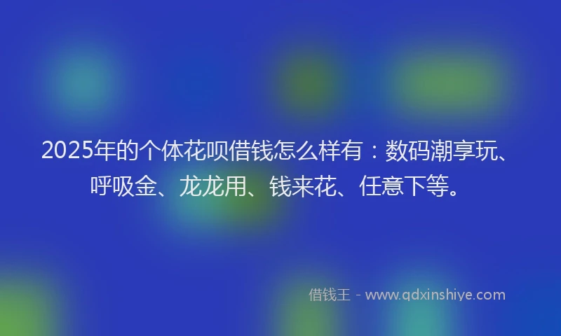2025年的个体花呗借钱怎么样有:数码潮享玩、呼吸金、龙龙用、钱来花、任意下等。