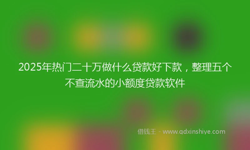 2025年热门二十万做什么贷款好下款，整理五个不查流水的小额度贷款软件