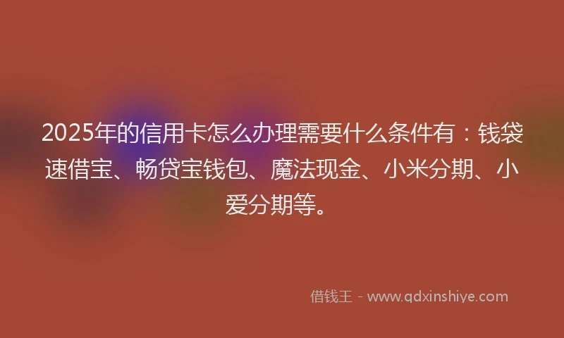 2025年的信用卡怎么办理需要什么条件有：钱袋速借宝、畅贷宝钱包、魔法现金、小米分期、小爱分期等。