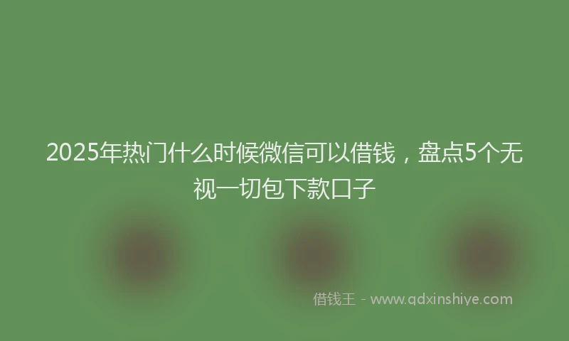 2025年热门什么时候微信可以借钱，盘点5个无视一切包下款口子