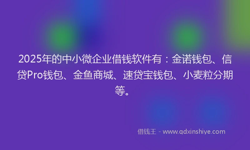 2025年的中小微企业借钱软件有：金诺钱包、信贷Pro钱包、金鱼商城、速贷宝钱包、小麦粒分期等。