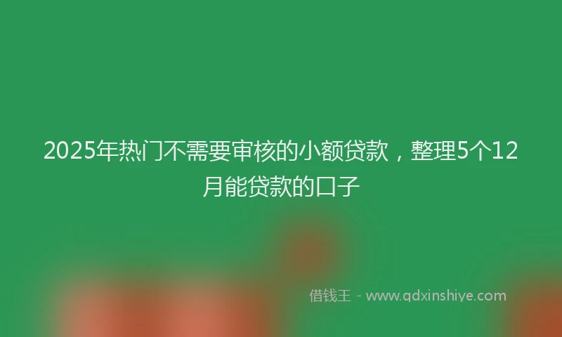 2025年热门不需要审核的小额贷款，整理5个12月能贷款的口子