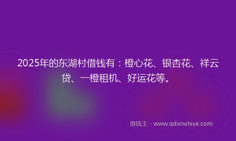2025年的东湖村借钱有：橙心花、银杏花、祥云贷、一橙租机、好运花等。