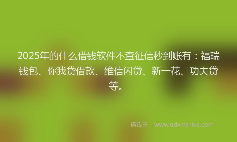 2025年的什么借钱软件不查征信秒到账有：福瑞钱包、你我贷借款、维信闪贷、新一花、功夫贷等。