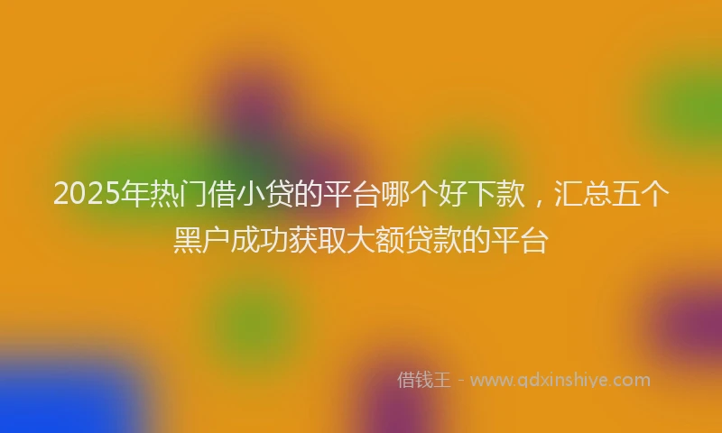 2025年热门借小贷的平台哪个好下款，汇总五个黑户成功获取大额贷款的平台