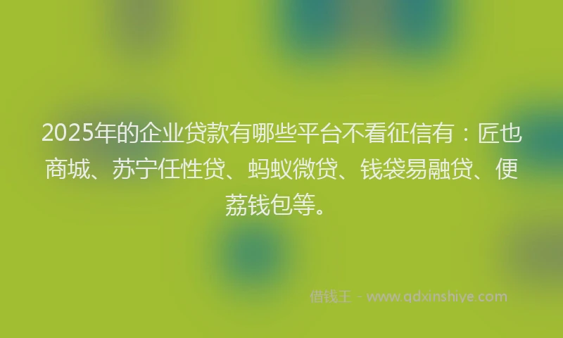 2025年的企业贷款有哪些平台不看征信有：匠也商城、苏宁任性贷、蚂蚁微贷、钱袋易融贷、便荔钱包等。