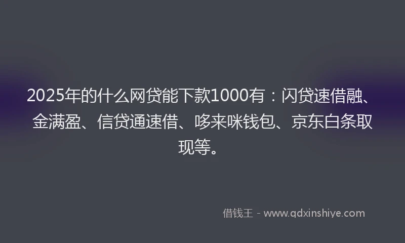 2025年的什么网贷能下款1000有：闪贷速借融、金满盈、信贷通速借、哆来咪钱包、京东白条取现等。