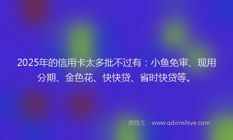 2025年的信用卡太多批不过有：小鱼免审、现用分期、金色花、快快贷、省时快贷等。