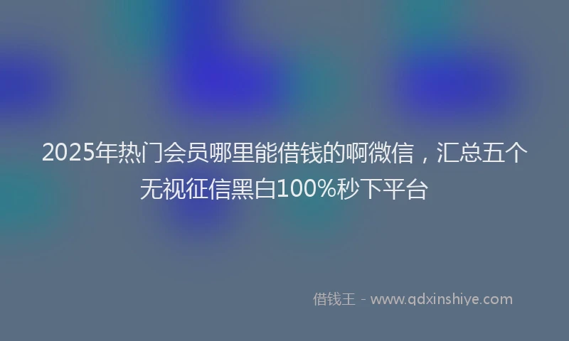 2025年热门会员哪里能借钱的啊微信，汇总五个无视征信黑白100%秒下平台