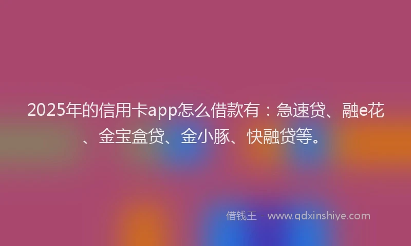 2025年的信用卡app怎么借款有：急速贷、融e花、金宝盒贷、金小豚、快融贷等。