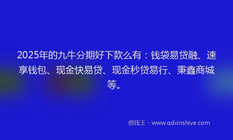 2025年的九牛分期好下款么有：钱袋易贷融、速享钱包、现金快易贷、现金秒贷易行、秉鑫商城等。