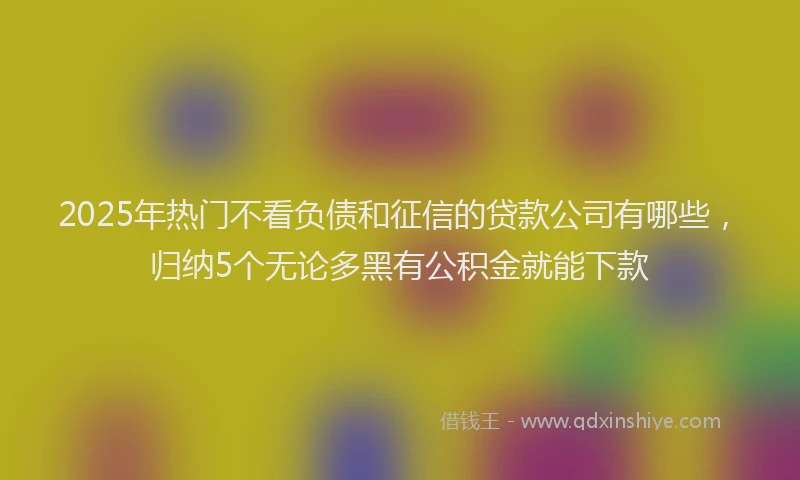 2025年热门不看负债和征信的贷款公司有哪些，归纳5个无论多黑有公积金就能下款