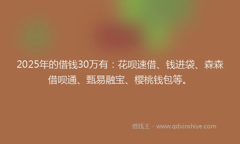 2025年的借钱30万有：花呗速借、钱进袋、森森借呗通、甄易融宝、樱桃钱包等。