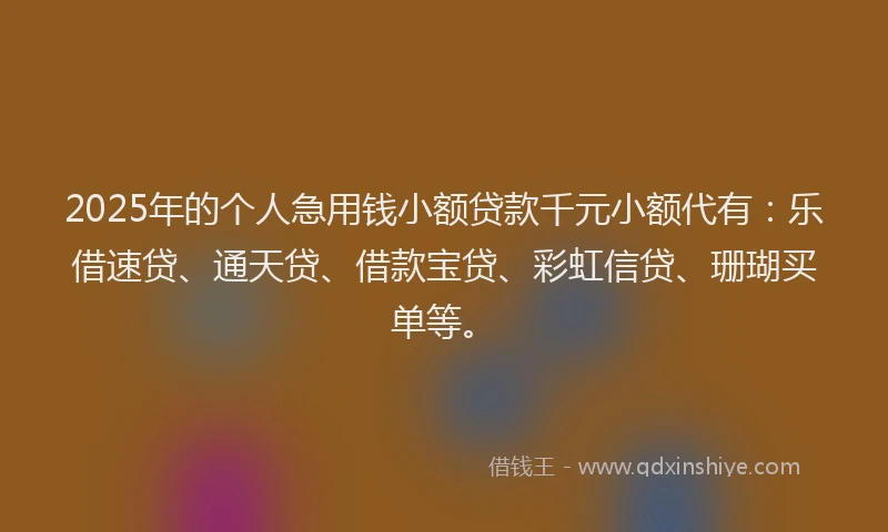 2025年的个人急用钱小额贷款千元小额代有：乐借速贷、通天贷、借款宝贷、彩虹信贷、珊瑚买单等。