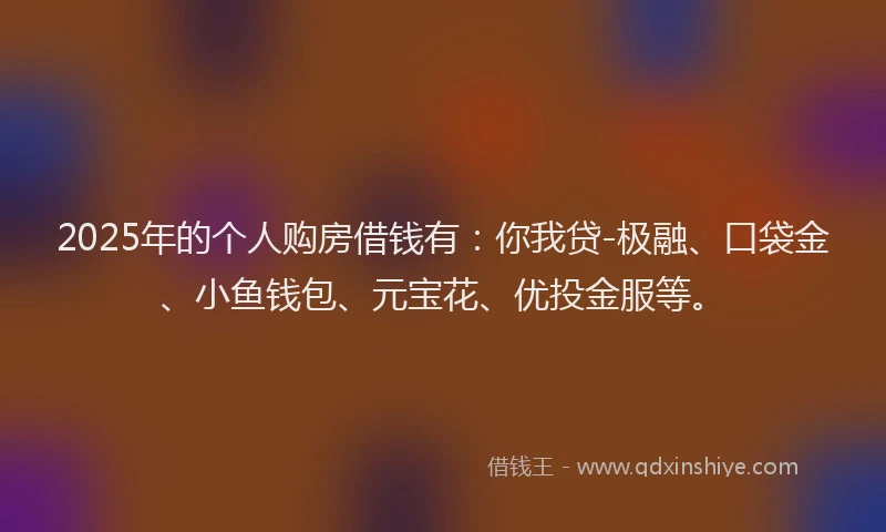 2025年的个人购房借钱有：你我贷-极融、口袋金、小鱼钱包、元宝花、优投金服等。