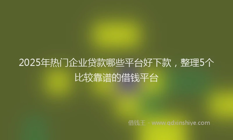 2025年热门企业贷款哪些平台好下款，整理5个比较靠谱的借钱平台