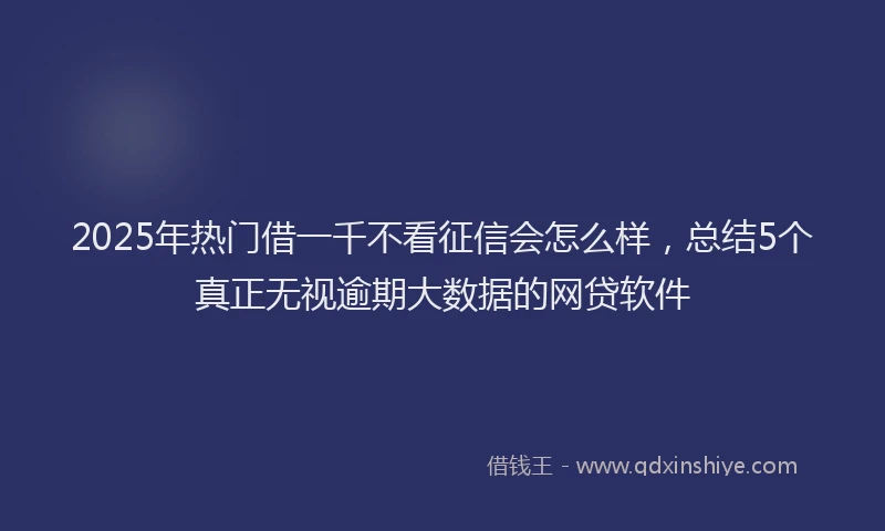 2025年热门借一千不看征信会怎么样，总结5个真正无视逾期大数据的网贷软件