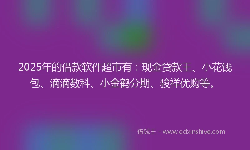 2025年的借款软件超市有：现金贷款王、小花钱包、滴滴数科、小金鹤分期、骏祥优购等。