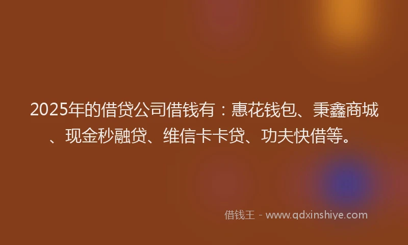 2025年的借贷公司借钱有：惠花钱包、秉鑫商城、现金秒融贷、维信卡卡贷、功夫快借等。