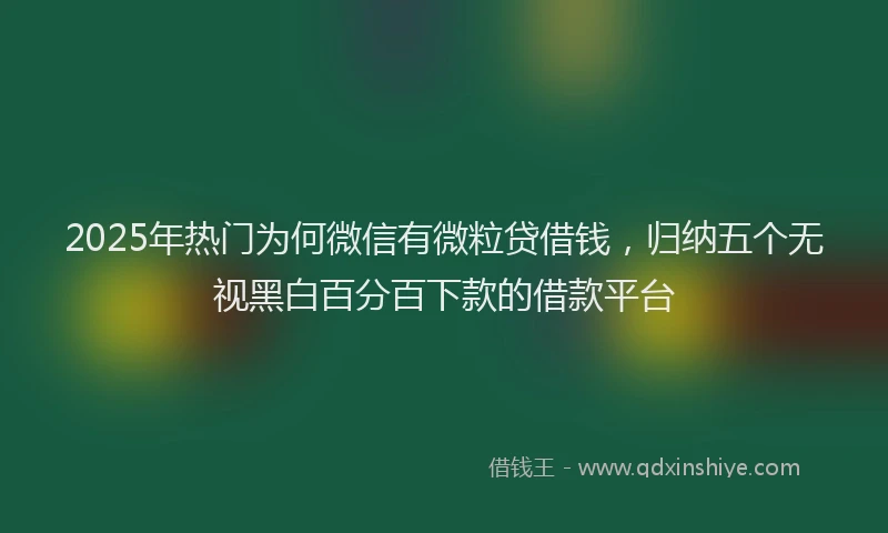 2025年热门为何微信有微粒贷借钱，归纳五个无视黑白百分百下款的借款平台