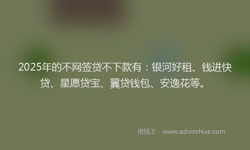 2025年的不网签贷不下款有：银河好租、钱进快贷、星愿贷宝、翼贷钱包、安逸花等。