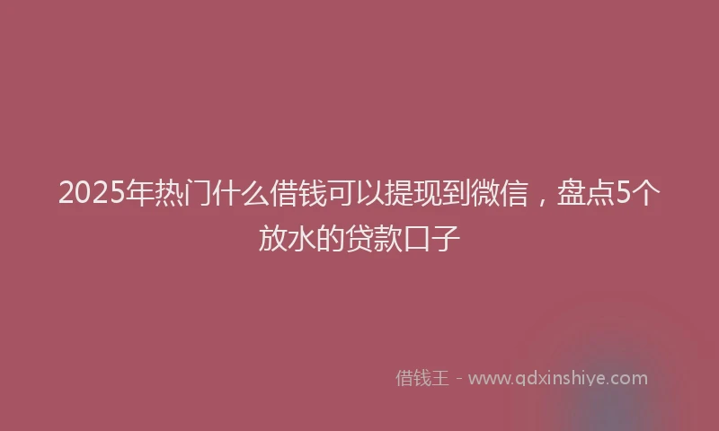 2025年热门什么借钱可以提现到微信，盘点5个放水的贷款口子