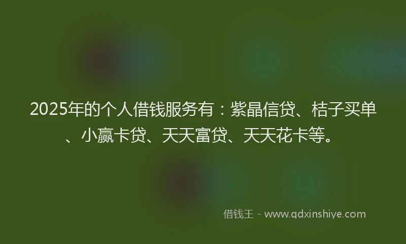 2025年的个人借钱服务有：紫晶信贷、桔子买单、小赢卡贷、天天富贷、天天花卡等。