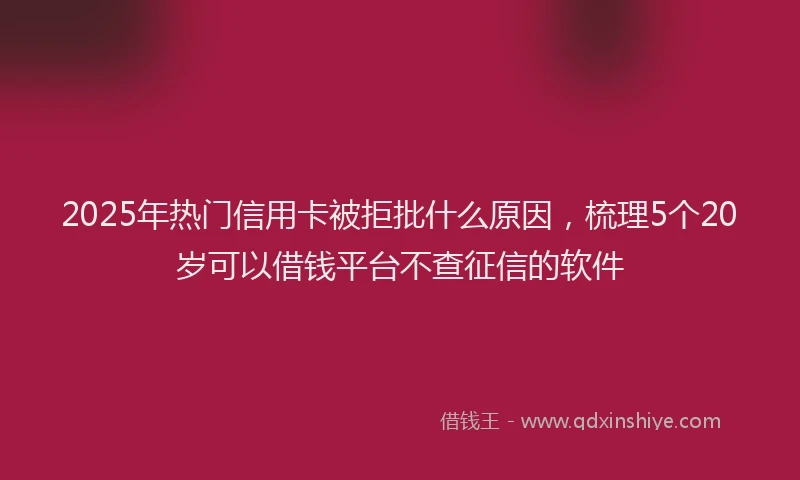 2025年热门信用卡被拒批什么原因，梳理5个20岁可以借钱平台不查征信的软件