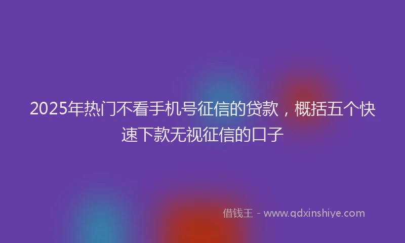 2025年热门不看手机号征信的贷款，概括五个快速下款无视征信的口子