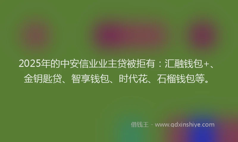 2025年的中安信业业主贷被拒有：汇融钱包+、金钥匙贷、智享钱包、时代花、石榴钱包等。