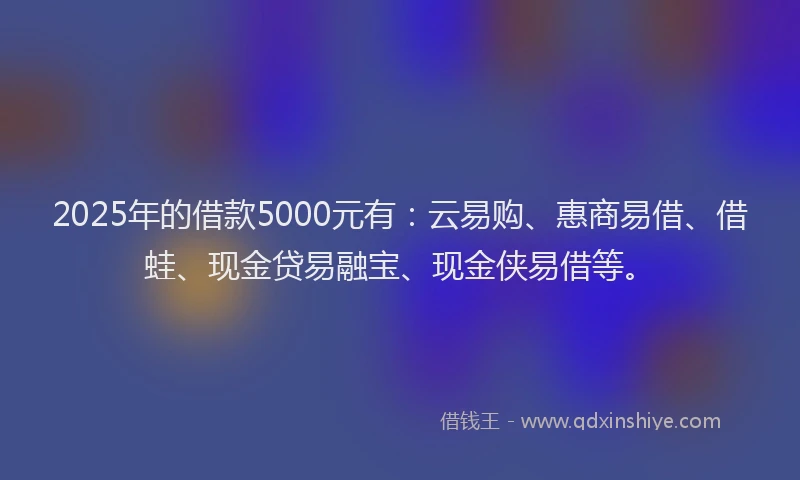 2025年的借款5000元有：云易购、惠商易借、借蛙、现金贷易融宝、现金侠易借等。