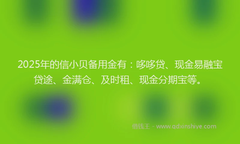 2025年的信小贝备用金有：哆哆贷、现金易融宝贷途、金满仓、及时租、现金分期宝等。