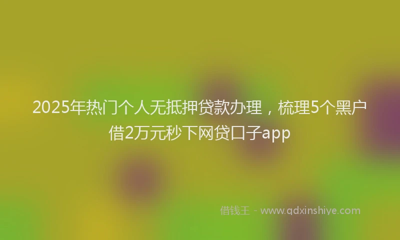 2025年热门个人无抵押贷款办理，梳理5个黑户借2万元秒下网贷口子app
