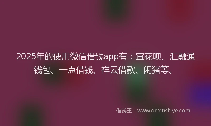 2025年的使用微信借钱app有：宜花呗、汇融通钱包、一点借钱、祥云借款、闲猪等。