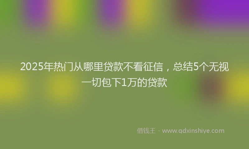 2025年热门从哪里贷款不看征信，总结5个无视一切包下1万的贷款