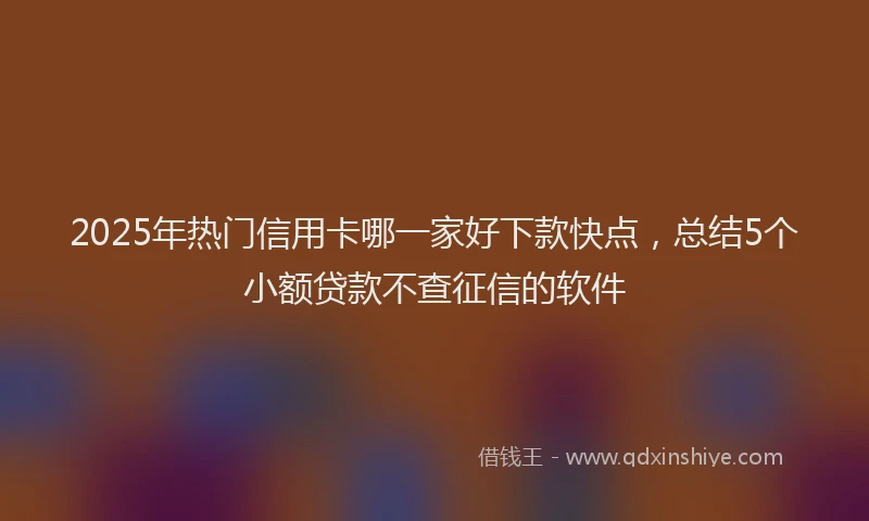 2025年热门信用卡哪一家好下款快点，总结5个小额贷款不查征信的软件