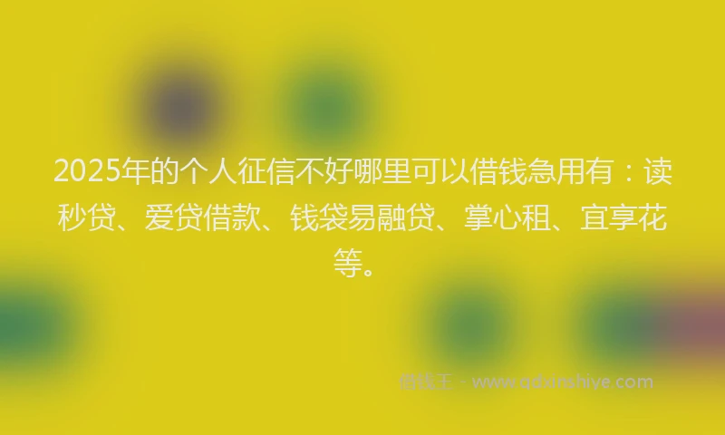 2025年的个人征信不好哪里可以借钱急用有：读秒贷、爱贷借款、钱袋易融贷、掌心租、宜享花等。