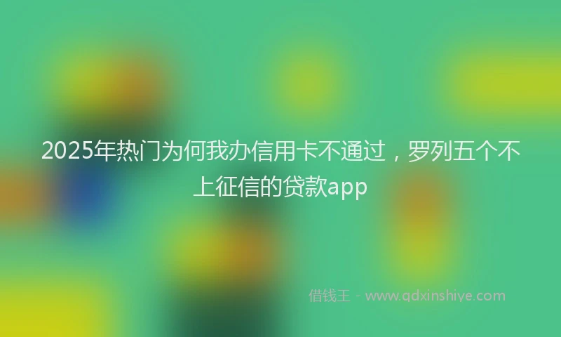 2025年热门为何我办信用卡不通过，罗列五个不上征信的贷款app