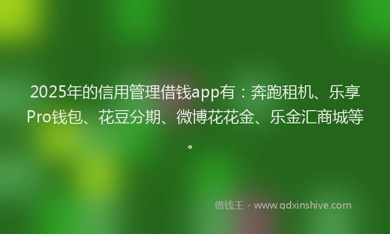 2025年的信用管理借钱app有：奔跑租机、乐享Pro钱包、花豆分期、微博花花金、乐金汇商城等。
