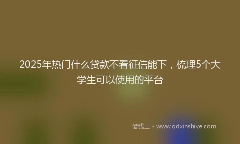 2025年热门什么贷款不看征信能下，梳理5个大学生可以使用的平台
