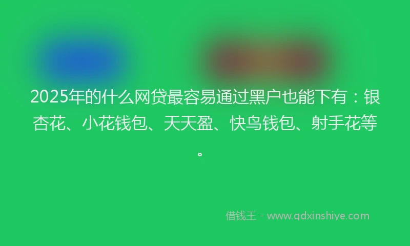 2025年的什么网贷最容易通过黑户也能下有：银杏花、小花钱包、天天盈、快鸟钱包、射手花等。