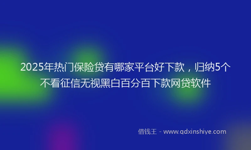2025年热门保险贷有哪家平台好下款，归纳5个不看征信无视黑白百分百下款网贷软件