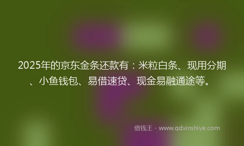 2025年的京东金条还款有：米粒白条、现用分期、小鱼钱包、易借速贷、现金易融通途等。