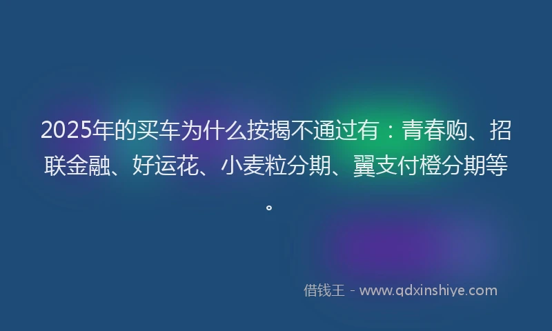 2025年的买车为什么按揭不通过有：青春购、招联金融、好运花、小麦粒分期、翼支付橙分期等。