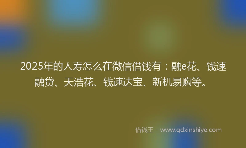 2025年的人寿怎么在微信借钱有：融e花、钱速融贷、天浩花、钱速达宝、新机易购等。