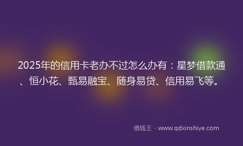 2025年的信用卡老办不过怎么办有：星梦借款通、恒小花、甄易融宝、随身易贷、信用易飞等。