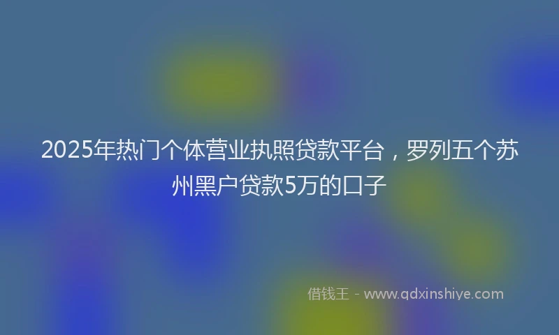 2025年热门个体营业执照贷款平台，罗列五个苏州黑户贷款5万的口子